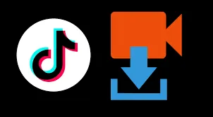 TikTok Videos